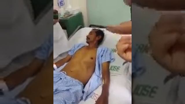 semio 1 смотреть онлайн