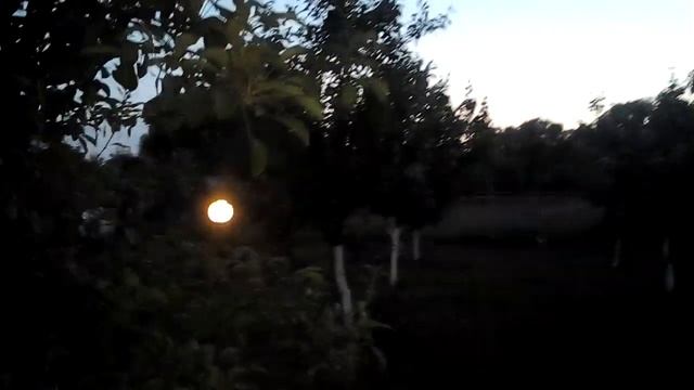 Купаты дачные. смотреть онлайн