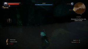 Witcher 3 На ощупь Потайной проход