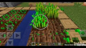 сид компота майнкрафт пе 1.1.5