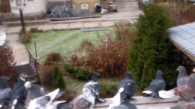 Ивановские ходовые смотреть онлайн