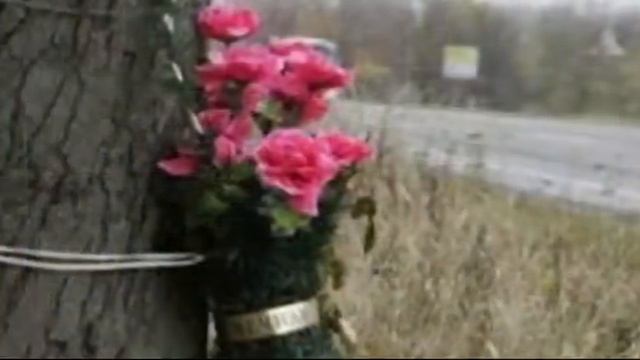 Сказка в исп. Марианны Ковальской реж.Ю.Пасечник смотреть онлайн