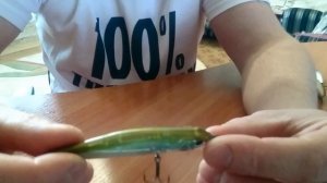 7 уловистых воблеров для ловли щуки и окуня