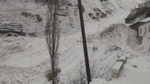 Цахур 27.03.21. #спасти_цахур