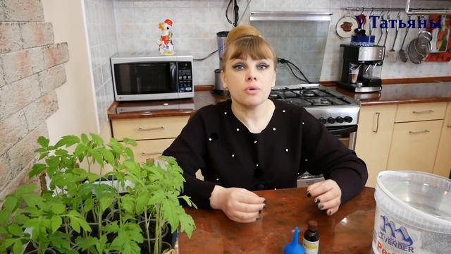 Накорми йодом томаты /помидоры/ и ты будешь приятно удивлен! смотреть онлайн