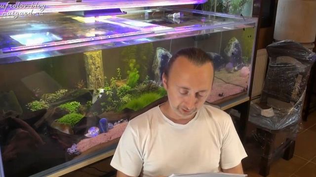 Как жили наши деды и о долгожителях смотреть онлайн