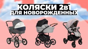 Рейтинг лучших колясок 2 в 1 для новорожденных в 2023 году ✔️