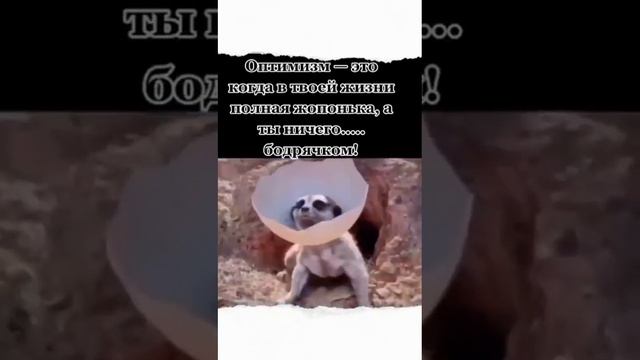 Заходи в клуб оптимистом 👇