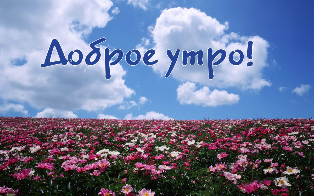Доброе Утро, Друзья! Отличного Настроения!