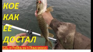 ПОКЛЕВКА ГИГАНТСКОЙ ЩУКИ ЧУТЬ НЕ СОШЛА, КОЕ КАК ВЫТАЩИЛ БЕЗ ПОДСАКА.