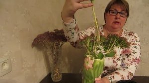 Очиток видный (Седум). Размножение из букета.