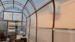 Сколько обошлась теплица из металла  3Х12