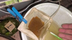 Переселение рыбок и полезная информация