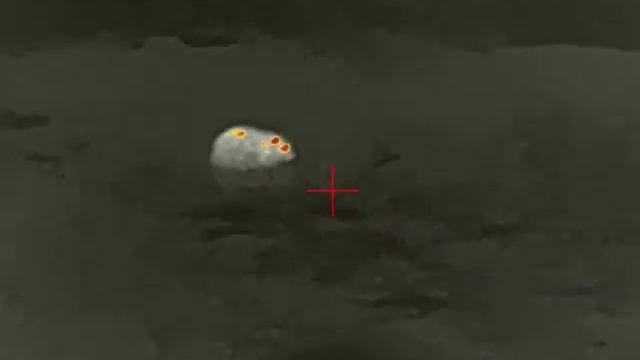 Бобр в прицел Айрей скп 19 в смотреть онлайн