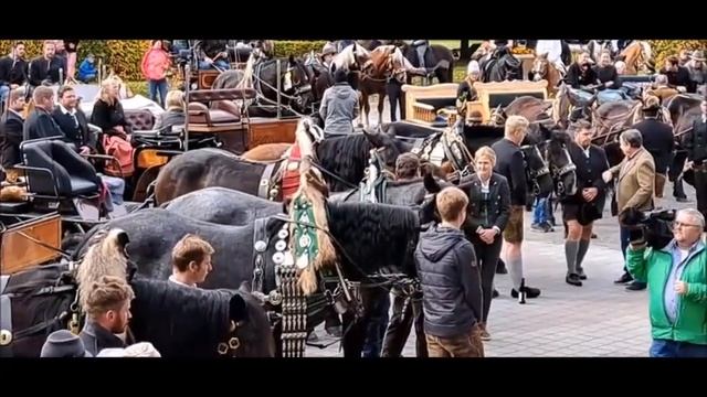 Австрия. Гастайн. Праздник святого Леонарда с благословением лошадей. смотреть онлайн