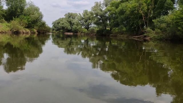 Сплав по реке Протва. город  Кременки- деревня Юрятино,Калужская область. 5 августа 2020 г.