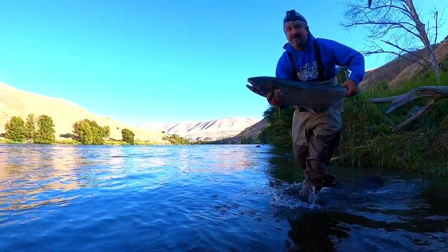 КОРОЛЕВСКИЙ ЛОСОСЬ И ДРУГИЕ РЫБЫ НА ЭТОЙ СКАЗОЧНОЙ РЕКЕ. РЫБАЛКА В США. ЧАВЫЧА. CHINOOK SALMON. смотреть онлайн