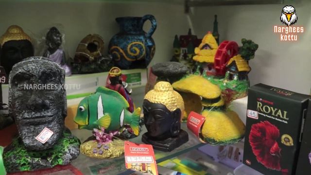 Fish Aquarium in chennai | Anemone | Beta Fish | Marine fish | Best fish shop | All in one fish sho смотреть онлайн