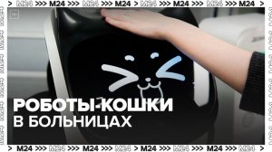 Москвичам рассказали, как работают роботы-кошки в городских больницах - Москва 24