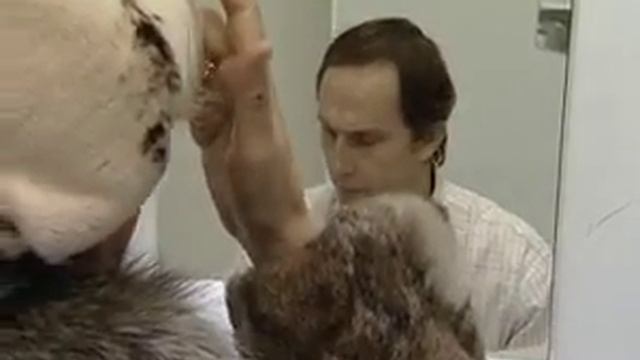 Черные схемы Новожилова Кирилла