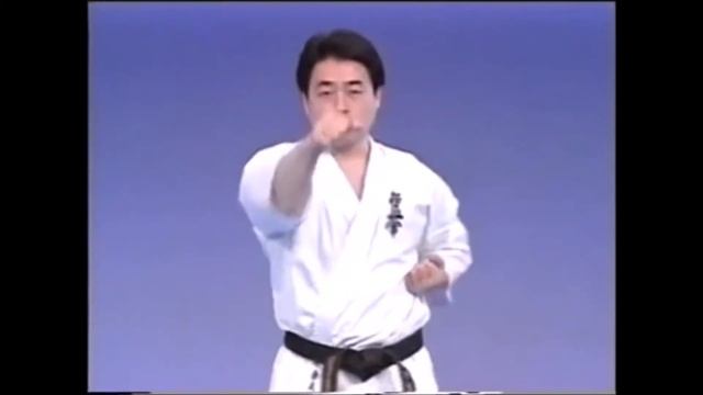 Kyokushin 101: Seiken Jodan & Gedan Tsuki смотреть онлайн