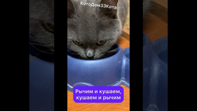 Сонечка. Знакомимся!