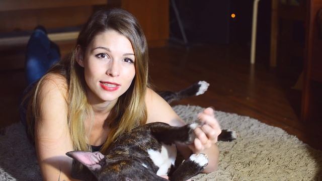 БУЛЬТЕРЬЕР | СОБАКА УБИЙЦА ИЛИ ЛУЧШИЙ ДРУГ?