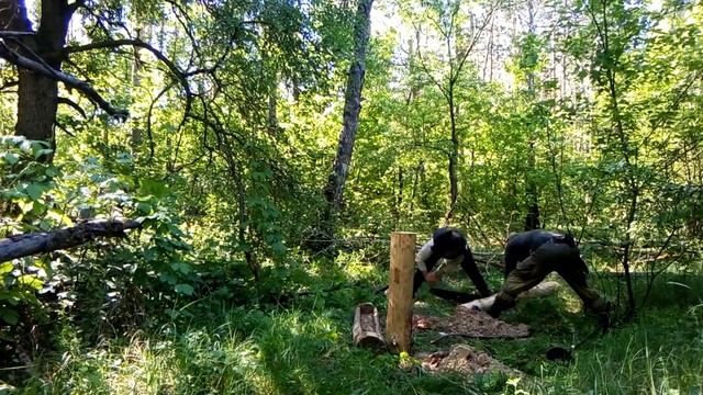 Солонец для лося смотреть онлайн