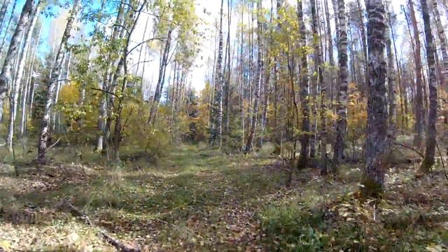 Дорога Сосновый Бор - Перново/Желудьево вдоль Шередаря смотреть онлайн