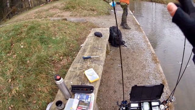 Прудовая форель/Отличная рыбалка в конце декабря!/Trout Area December смотреть онлайн