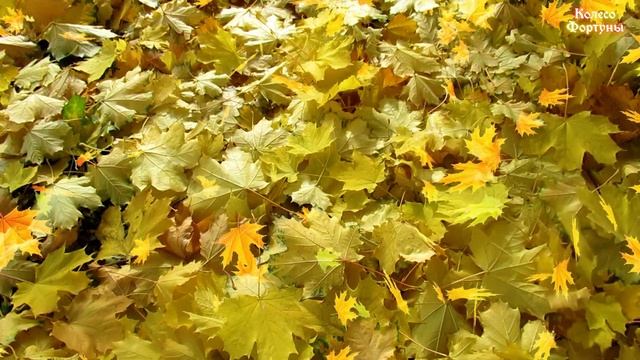 Осеннее равноденствие 22 сентября 2021 года. Ритуалы на привлечение денег смотреть онлайн