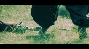 Hej sokoly ! / Hey Falcons!  Polish and Ukrainian folk song from the days of the old glory