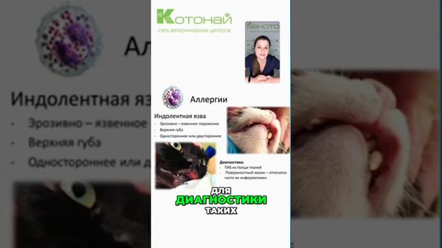 Лечение инфекционных поражений | основные принципы и методы