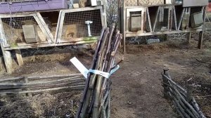 Посылка с саженцами из Хатунского питомника.