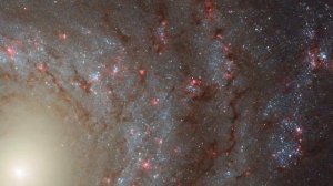 Этот эпизод передачи Hubblecast исследует значение цветов в спиральной галактике NGC 3344.