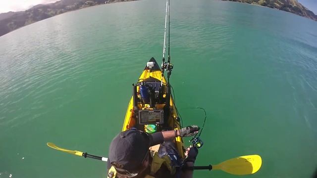 Kayak Snapper Fishing, New Zealand, The calm after the storm - Sharkerz fishing videos смотреть онлайн