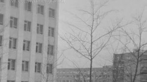 1970-е г.г. Тюмень. По дороге в ЗАГС