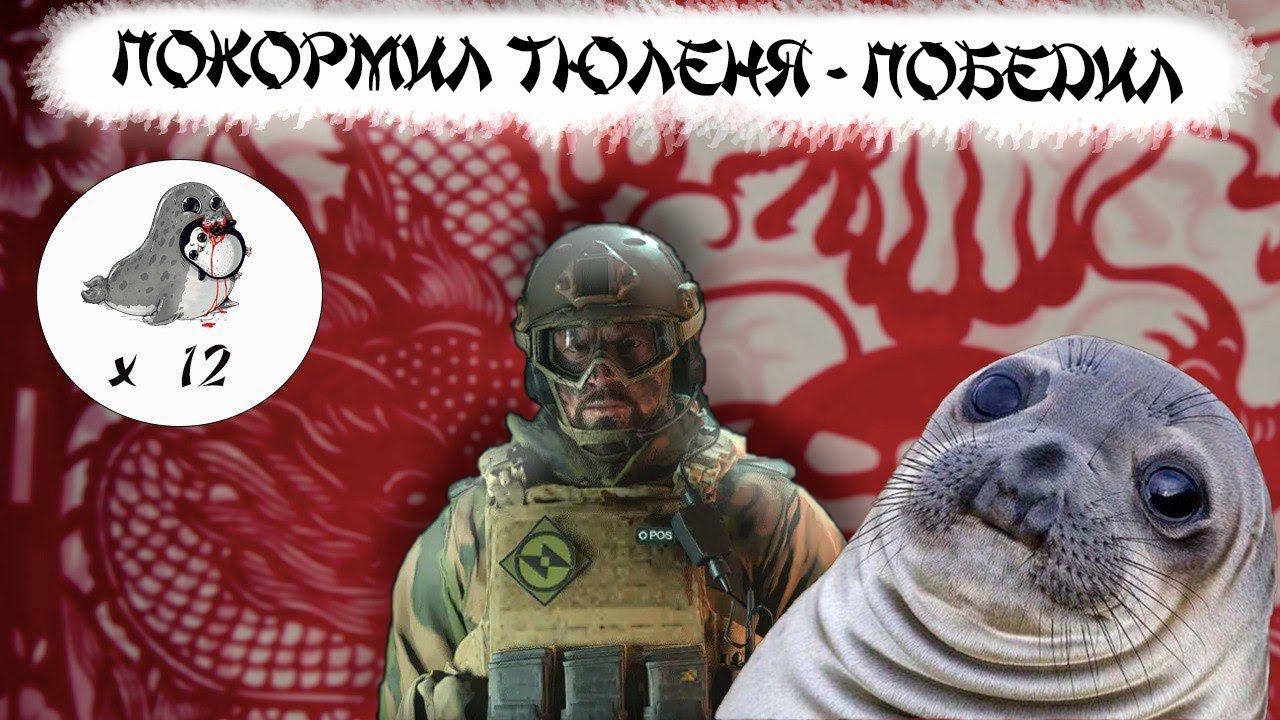 ПОКОРМИЛ ТЮЛЕНЯ И ПОЛУЧИЛ ИМБУ?! [Warzone 2.0] смотреть онлайн