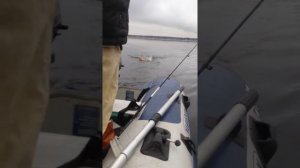 Рыбалка в Карелии. ЛОГМОЗЕРО! Щука в октябре