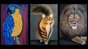 Мои картины