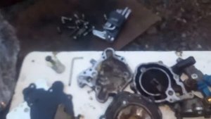 Газовый редуктор,Tomasetto Achille,Alaska,вскрытие после пробега 130000 км.Давление 0.8.