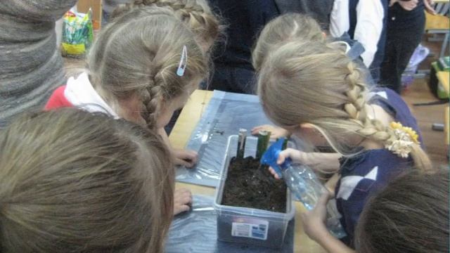 Фитодизайн классной комнаты смотреть онлайн