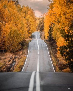 Добрый день Музыкальное Пожелание для Вас!