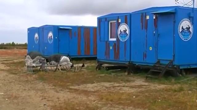 Сельское хозяйство в Ямальском районе смотреть онлайн