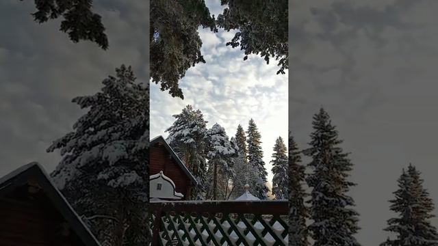 Вот какая природа обычно бывает на Крещение❄️✨❄️