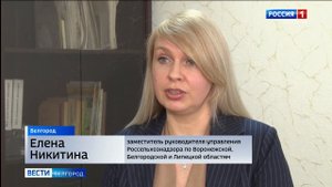 В Белгородскую область завезли зараженные семена подсолнечника