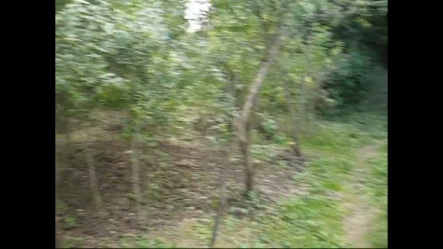 Наша старая дача \ Деревенский дачник