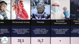 Температура Тела и Реакция Организма