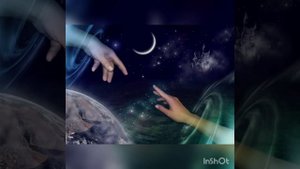 Стихотворение "Мотыльки, летящие на свет"