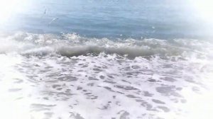 #Гудаута #море #пляж #абхазия #gudauta #sea #beach #abkhazia